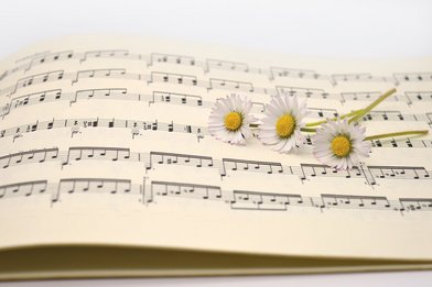 Copyright: Frauke Riether auf Pixabay