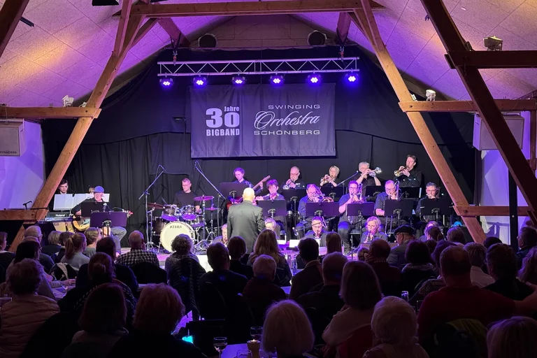 Swinging Orchestra Schönberg